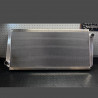 Lancia 037 water radiator
